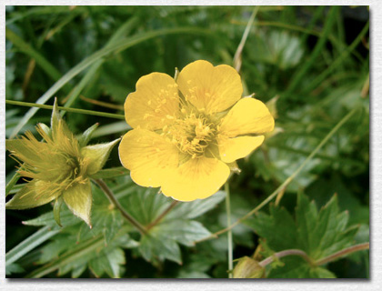 �~���}�L���o�C