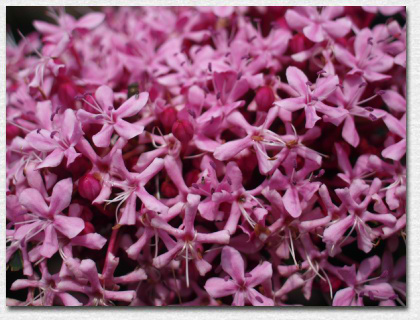 �{�^���N�T�M