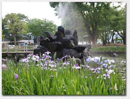 �n�i�V���E�u