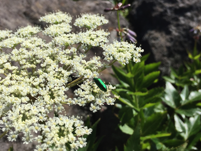 �~���}�g�E�L