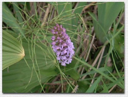 �e�K�^�`�h��