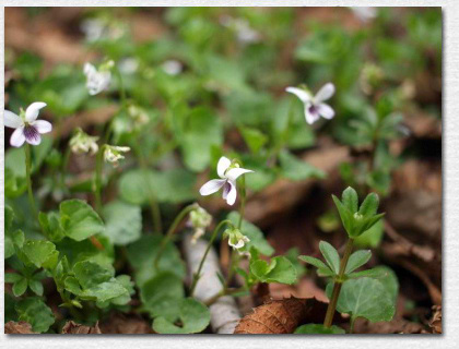 �c�{�X�~��