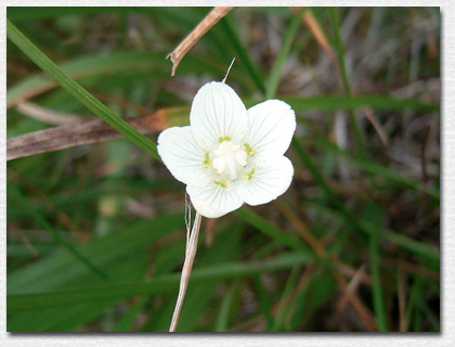 �E���o�`�\�E