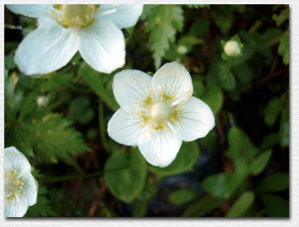 �E���o�`�\�E